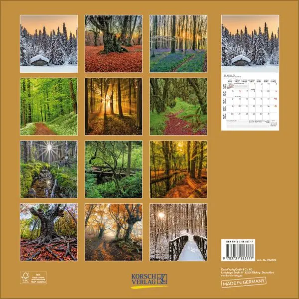 Bild: 9783731883777 | Magische Wälder 2026 | Verlag Korsch | Kalender | 13 S. | Deutsch