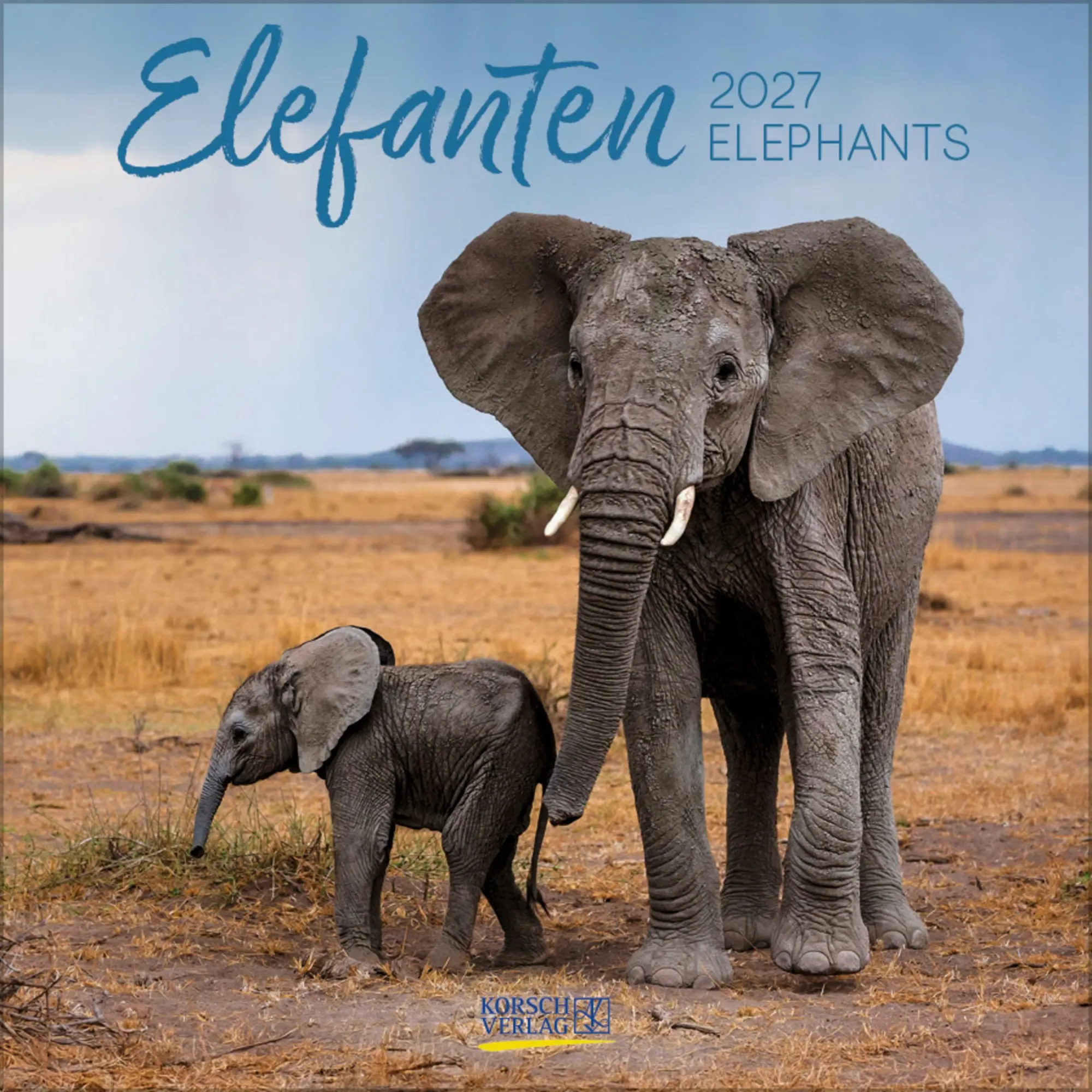Cover: 9783819303777 | Elefanten 2027 | Verlag Korsch | Kalender | 13 S. | Deutsch | 2027