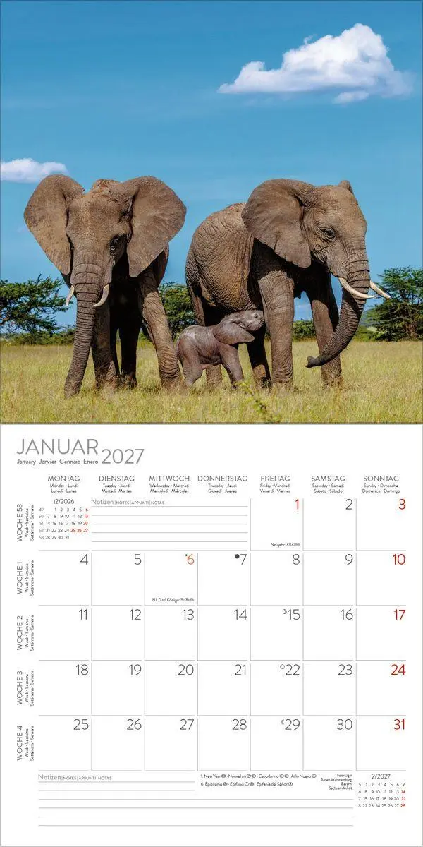 Bild: 9783819303777 | Elefanten 2027 | Verlag Korsch | Kalender | 13 S. | Deutsch | 2027