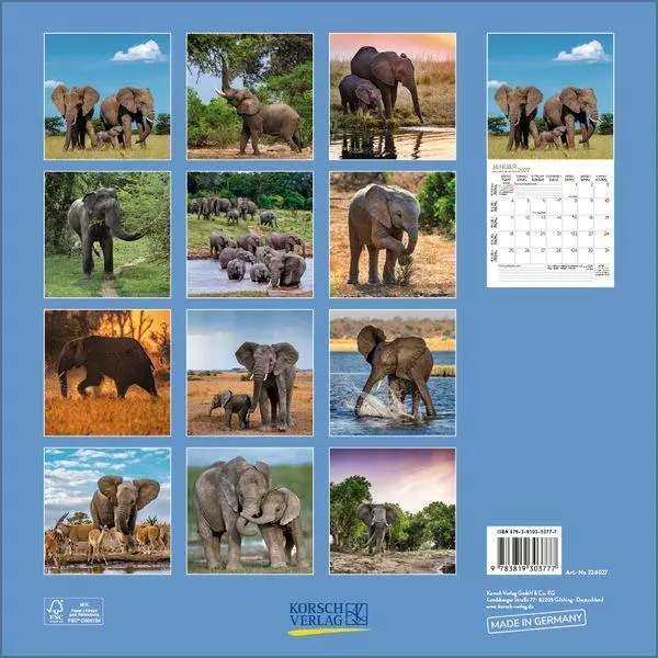 Bild: 9783819303777 | Elefanten 2027 | Verlag Korsch | Kalender | 13 S. | Deutsch | 2027