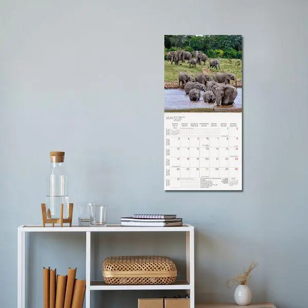 Bild: 9783819303777 | Elefanten 2027 | Verlag Korsch | Kalender | 13 S. | Deutsch | 2027