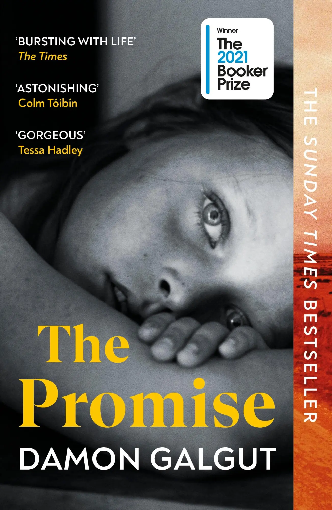 Cover: 9781529113877 | The Promise | Damon Galgut | Taschenbuch | B-format paperback | 304 S.