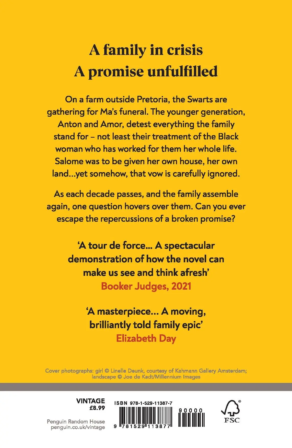 Rückseite: 9781529113877 | The Promise | Damon Galgut | Taschenbuch | B-format paperback | 304 S.