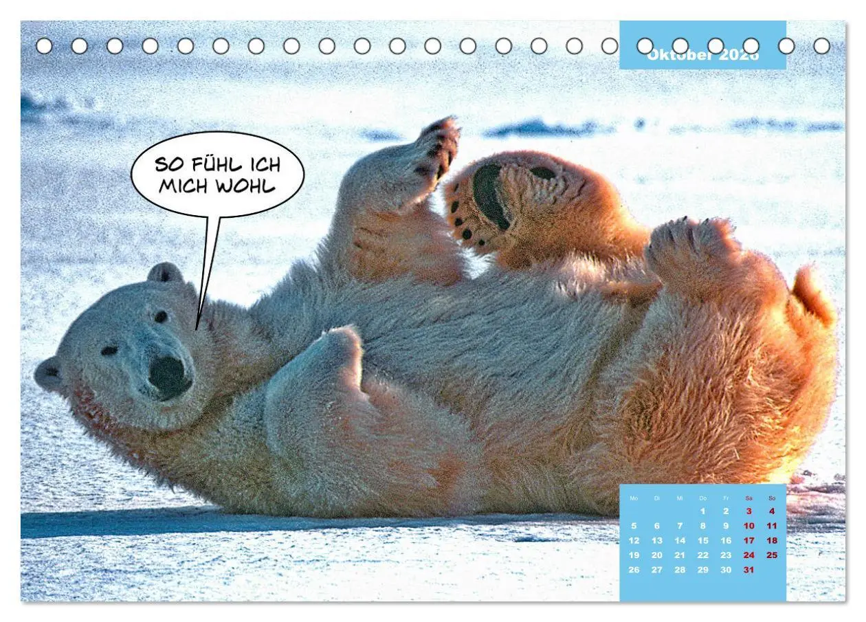 Bild: 9783457713877 | Lustige Eisbären (Tischkalender 2026 DIN A5 quer), CALVENDO...