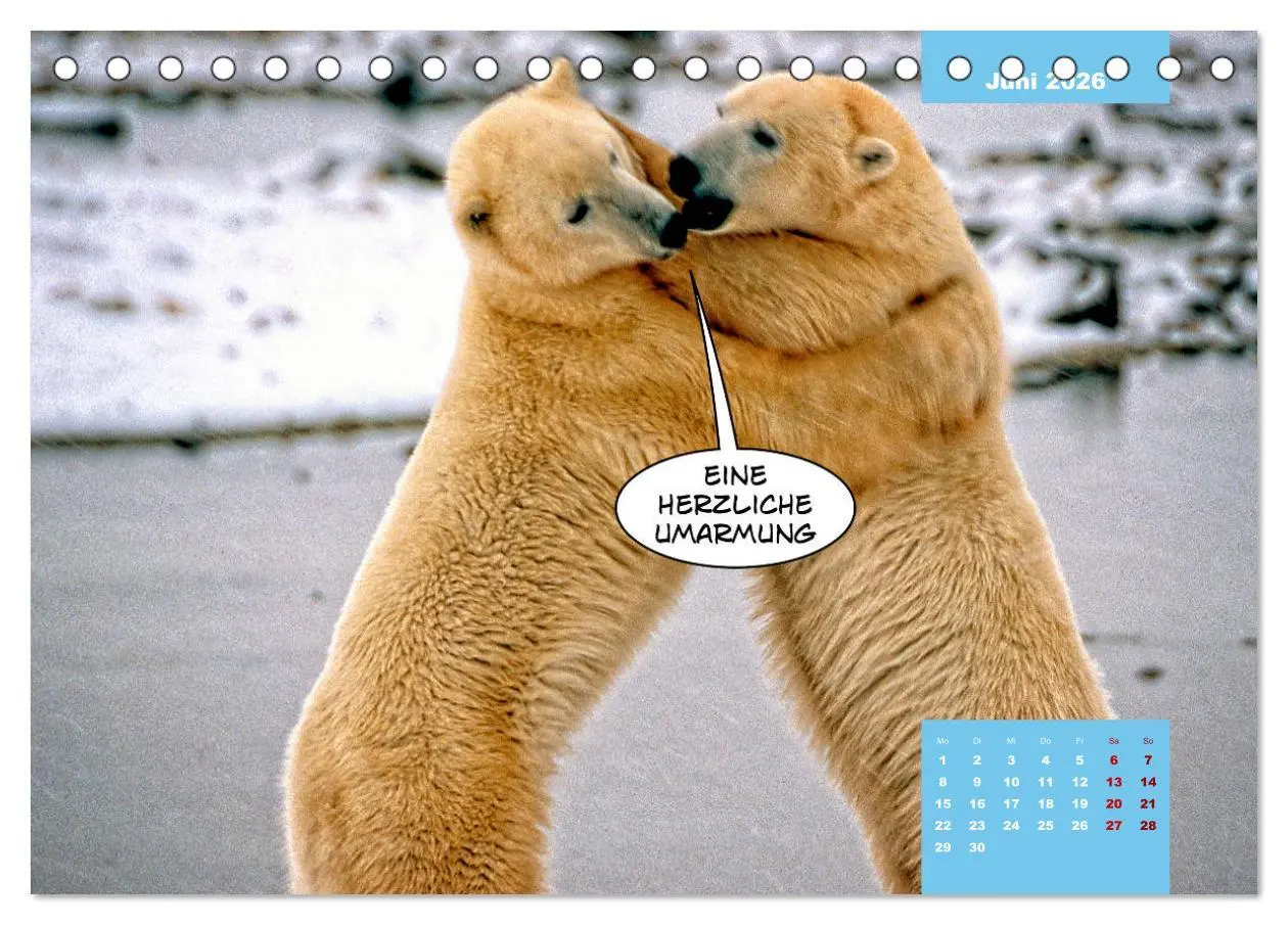 Bild: 9783457713877 | Lustige Eisbären (Tischkalender 2026 DIN A5 quer), CALVENDO...