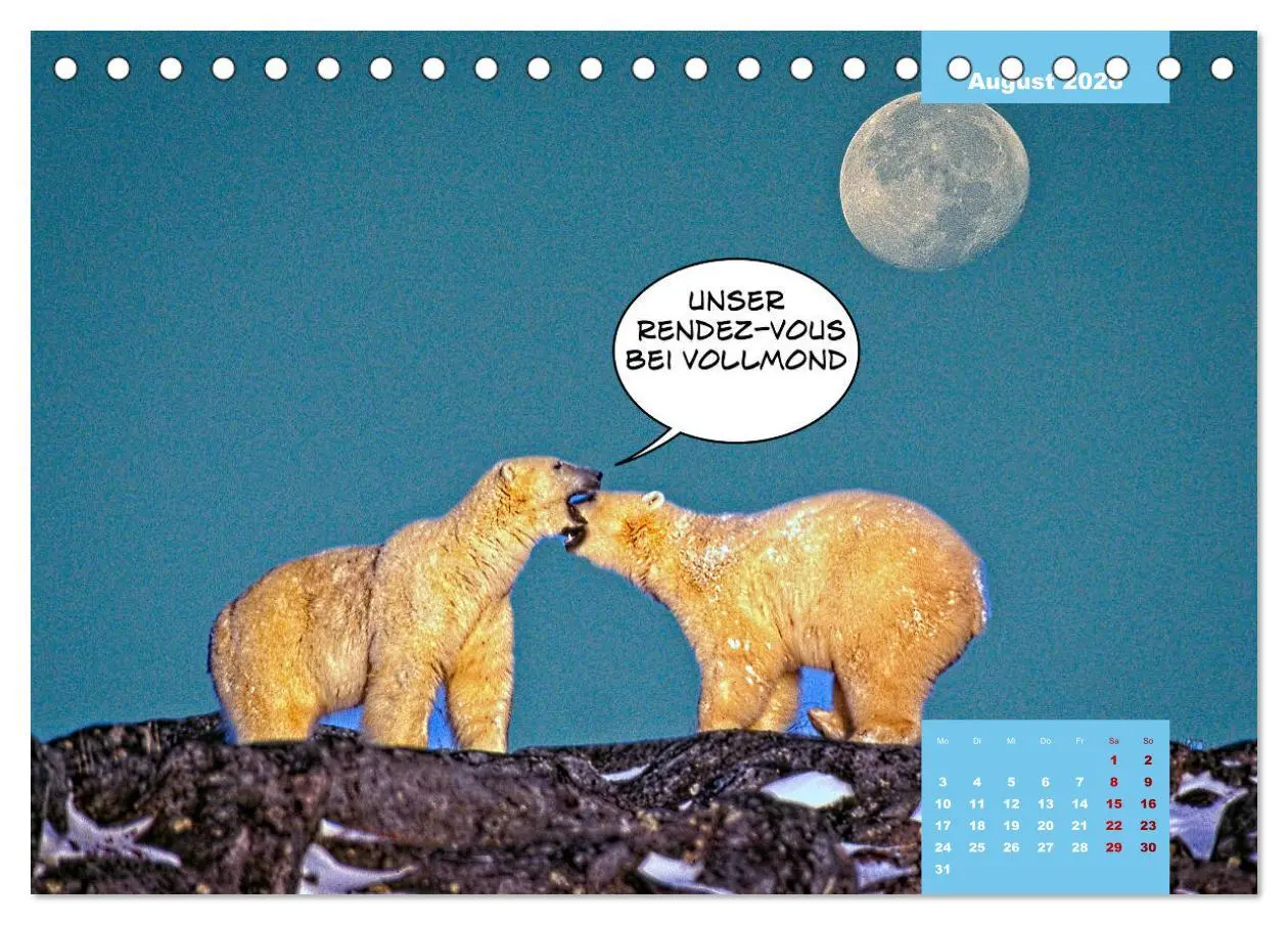 Bild: 9783457713877 | Lustige Eisbären (Tischkalender 2026 DIN A5 quer), CALVENDO...