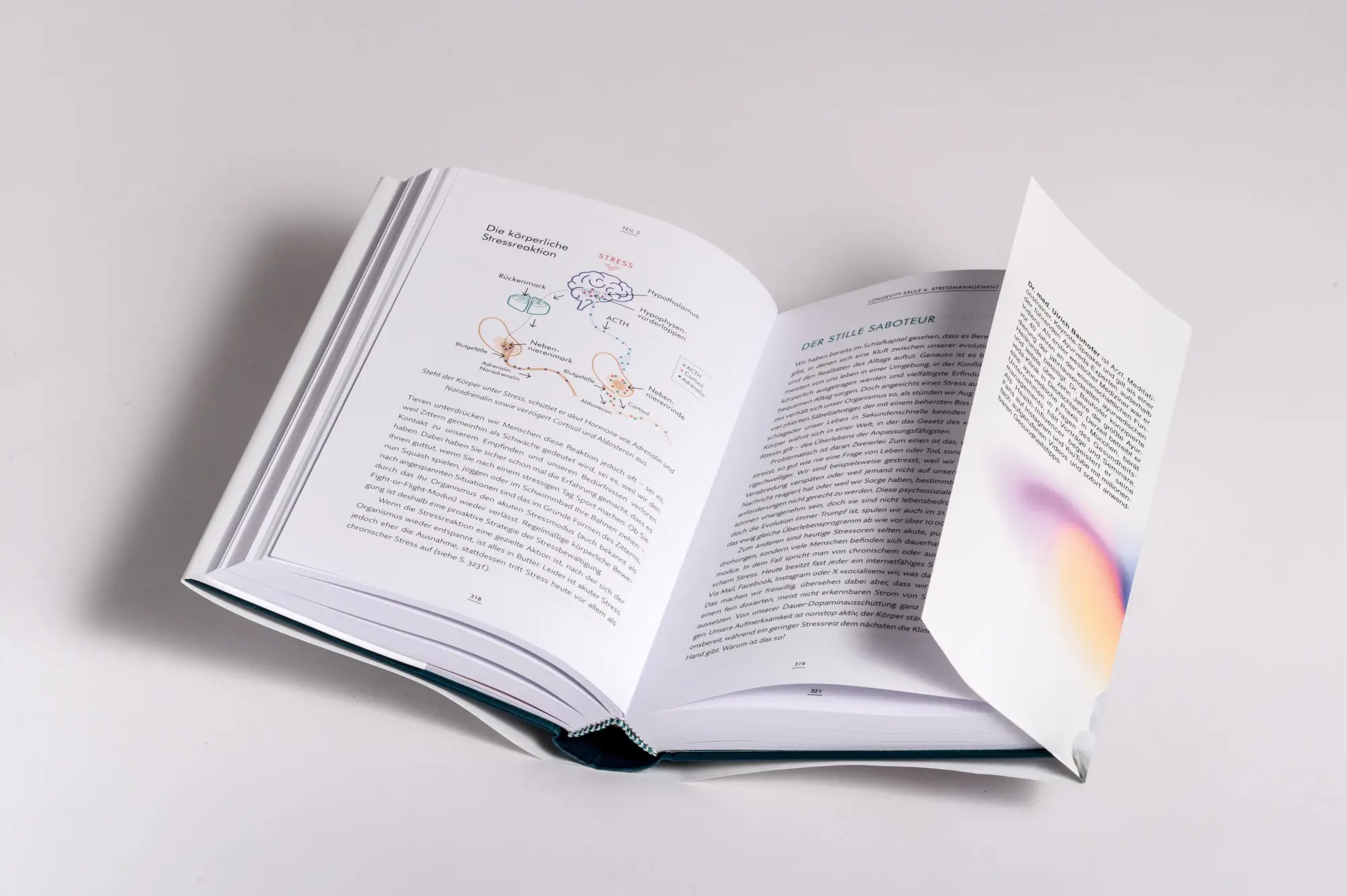 Bild: 9783517103877 | Aktiv verjüngen | Ulrich Bauhofer | Buch | 576 S. | Deutsch | 2025