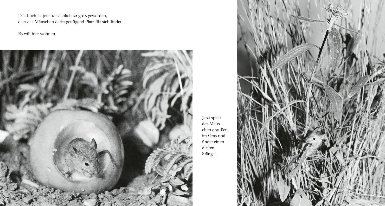 Bild: 9783737363877 | Apfelmäuschen | Mini-Ausgabe | Ulrich Thomas (u. a.) | Buch | 40 S.