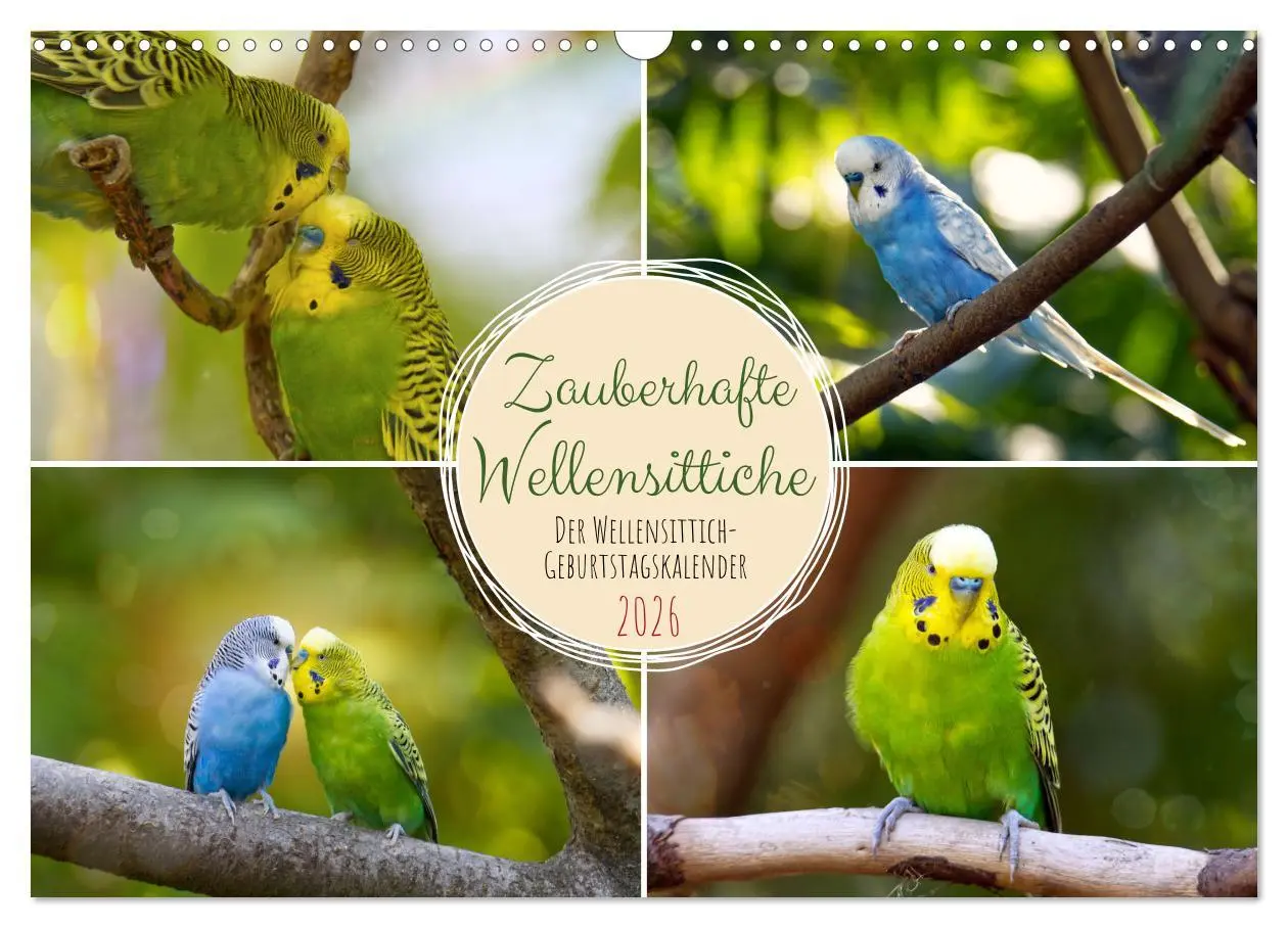 Cover: 9783457563977 | Zauberhafte Wellensittiche (Wandkalender 2026 DIN A3 quer),...