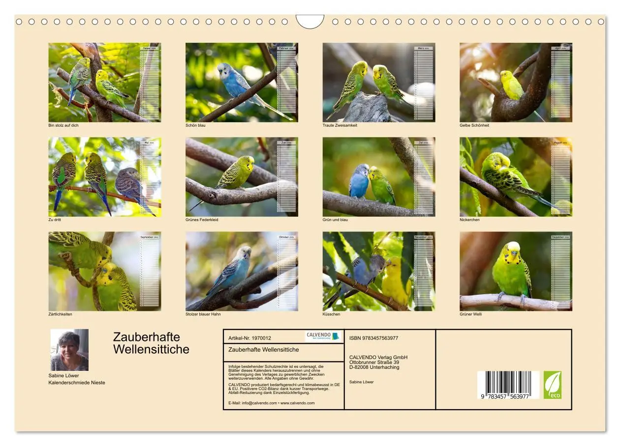 Bild: 9783457563977 | Zauberhafte Wellensittiche (Wandkalender 2026 DIN A3 quer),...