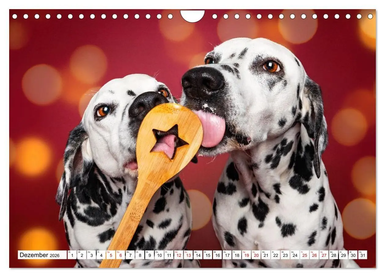Bild: 9783516723977 | Hunde im Naschparadies (Wandkalender 2026 DIN A4 quer), CALVENDO...