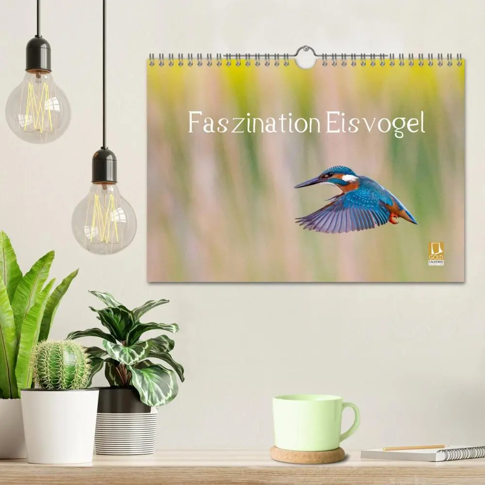 Bild: 9783435504077 | Faszination Eisvogel (Wandkalender 2025 DIN A4 quer), CALVENDO...
