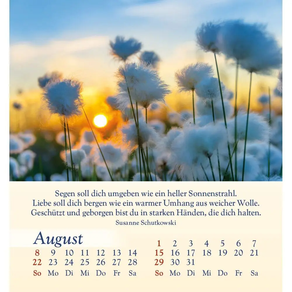 Bild: 9783754834077 | Licht für deine Seele 2027 | Kalender | Spiralbindung | 14 S. | 2027