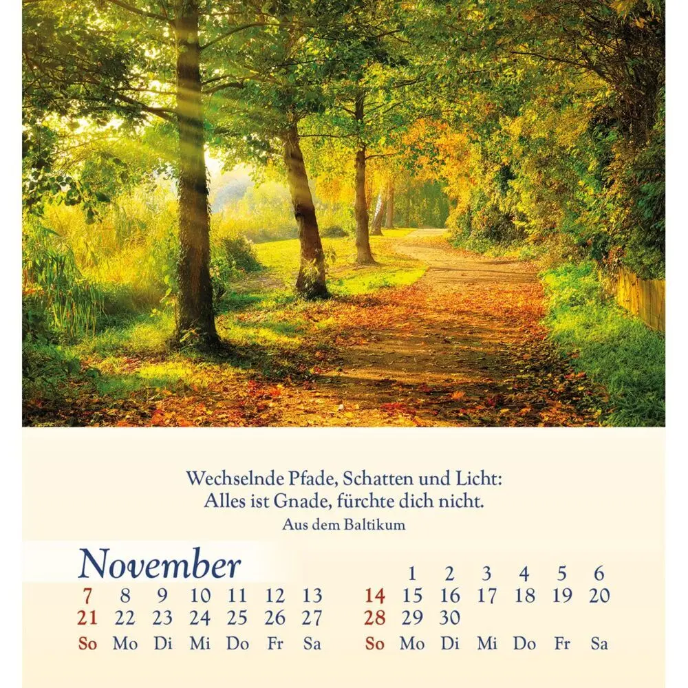Bild: 9783754834077 | Licht für deine Seele 2027 | Kalender | Spiralbindung | 14 S. | 2027
