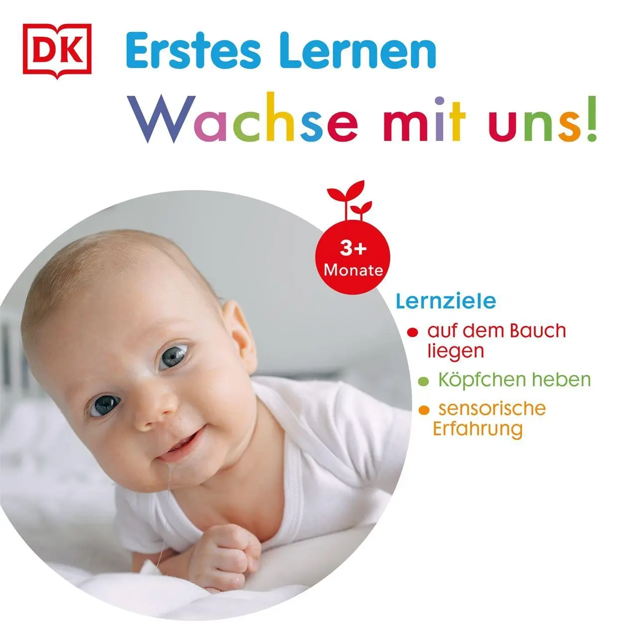 Bild: 9783831054077 | Erstes Lernen Fühl-Leporello. Schlaf schön! | DK Erstes Lernen | Buch