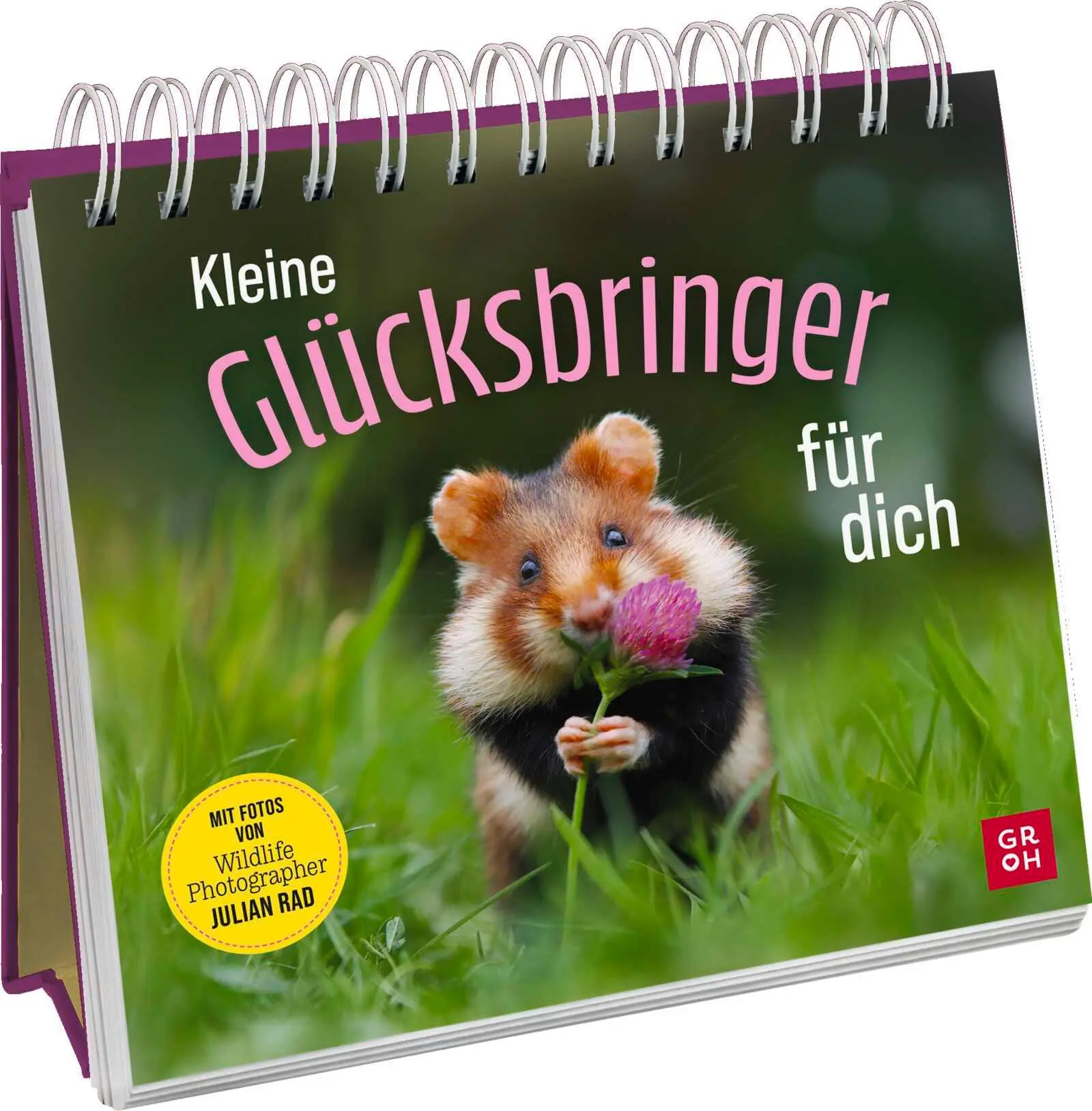 Cover: 9783848504077 | Kleine Glücksbringer für dich | Julian Rad | Taschenbuch | 96 S.