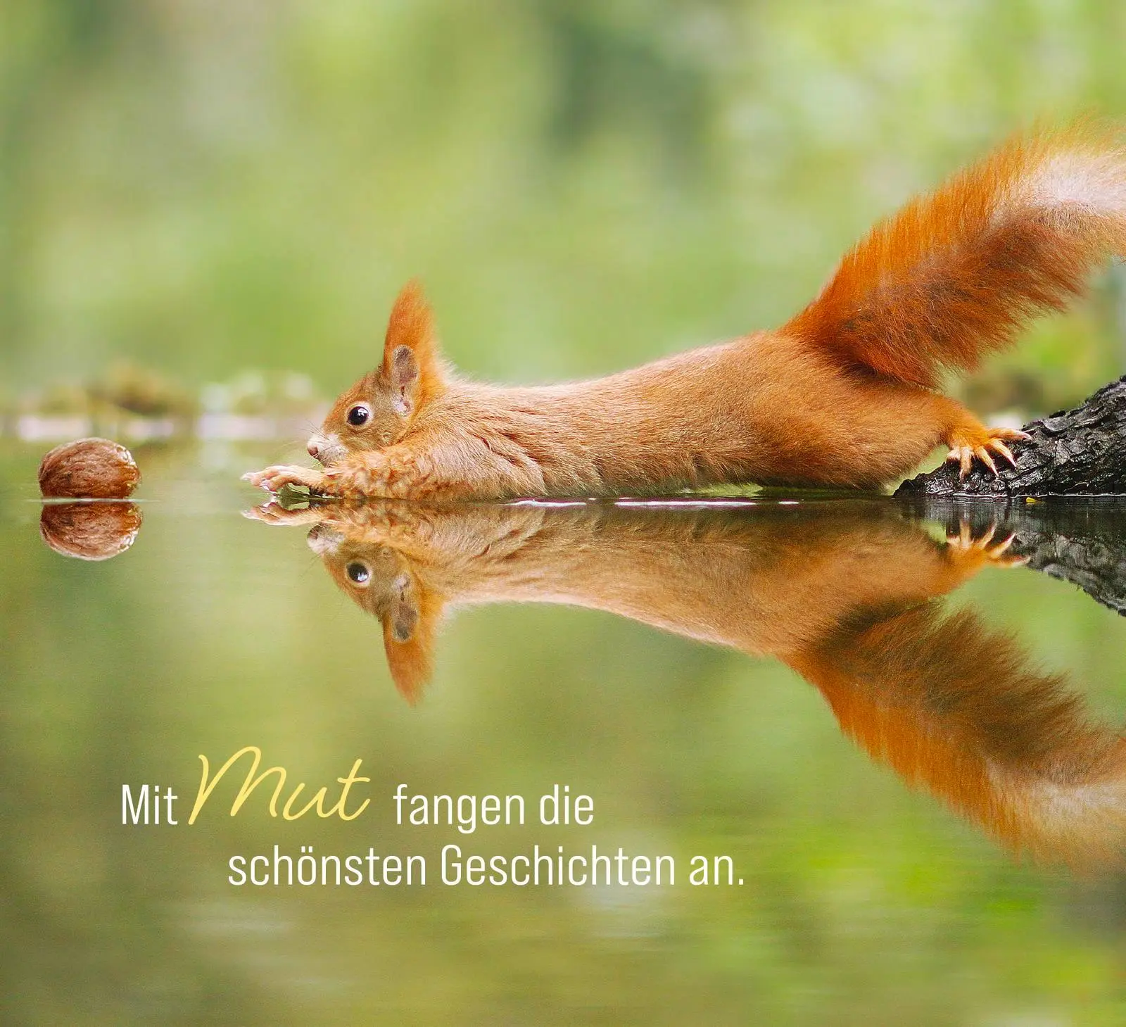 Bild: 9783848504077 | Kleine Glücksbringer für dich | Julian Rad | Taschenbuch | 96 S.