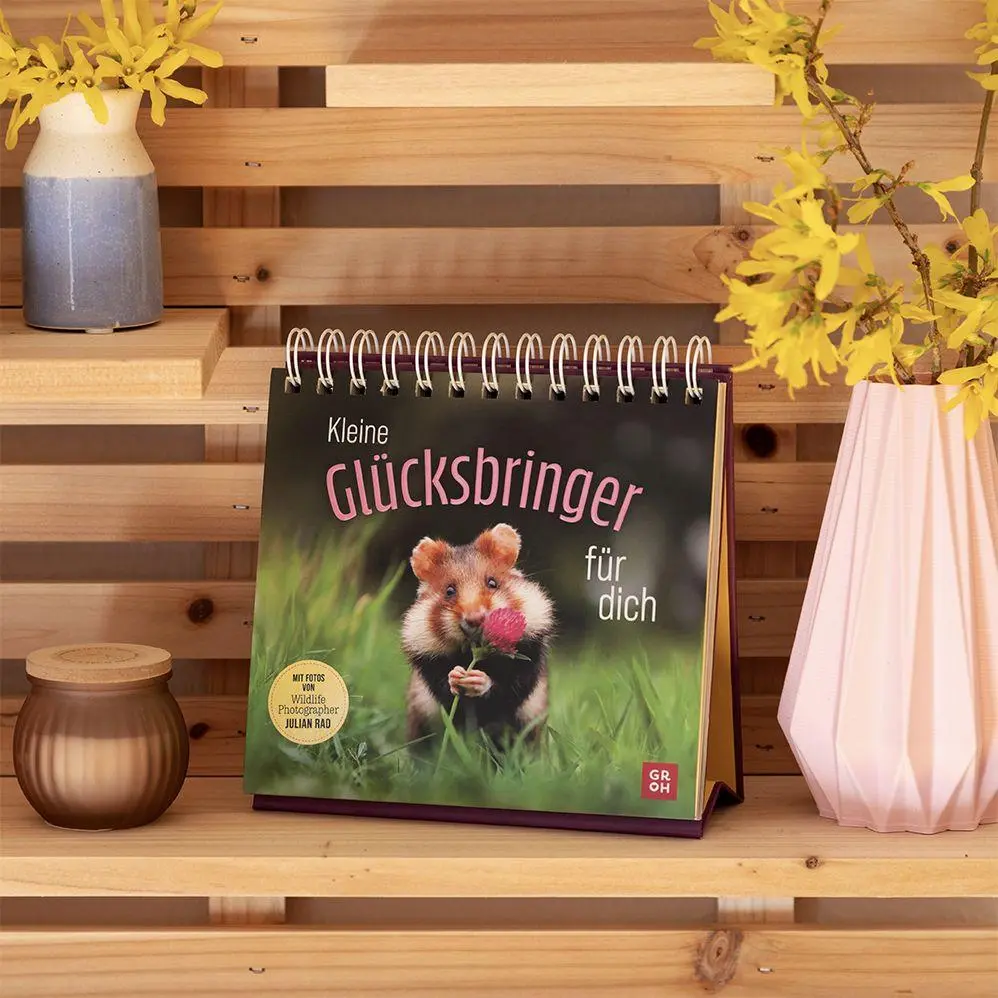 Bild: 9783848504077 | Kleine Glücksbringer für dich | Julian Rad | Taschenbuch | 96 S.