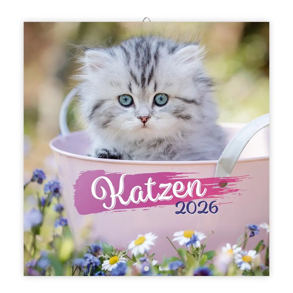 Cover: 9783988024077 | Trötsch Broschürenkalender Katzen 2026 | Wandplaner | KG | Kalender