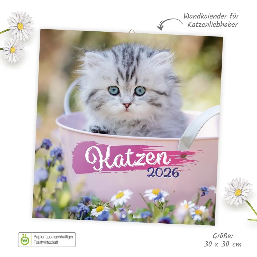 Bild: 9783988024077 | Trötsch Broschürenkalender Katzen 2026 | Wandplaner | KG | Kalender