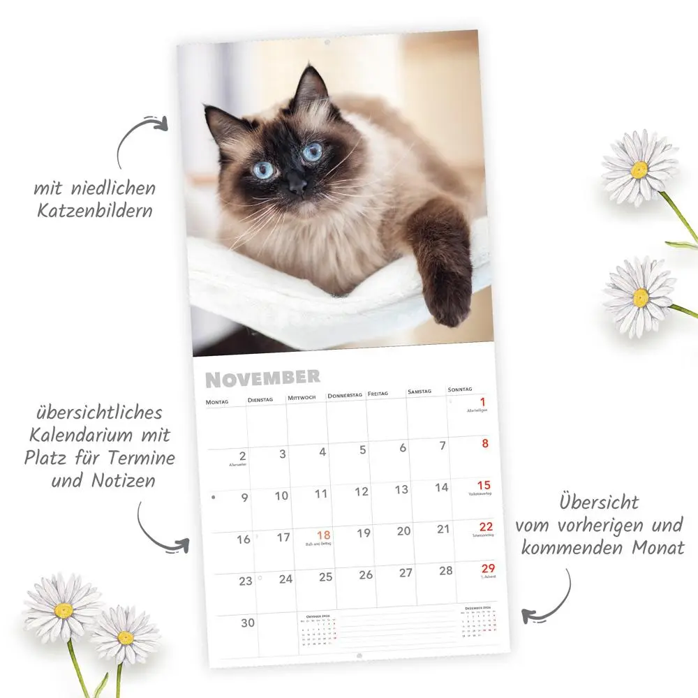 Bild: 9783988024077 | Trötsch Broschürenkalender Katzen 2026 | Wandplaner | KG | Kalender