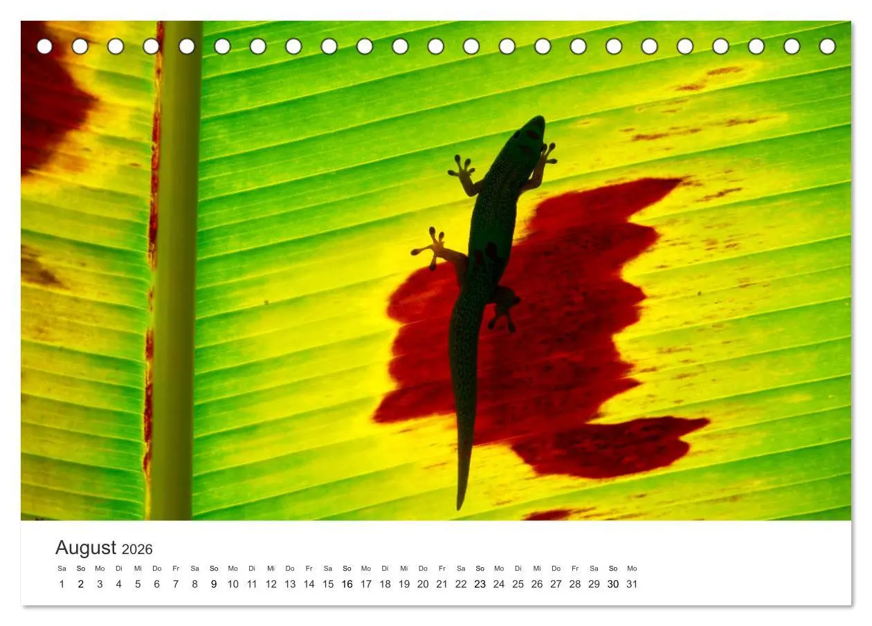 Bild: 9783457684177 | Himmlisches Hawaii (Tischkalender 2026 DIN A5 quer), CALVENDO...
