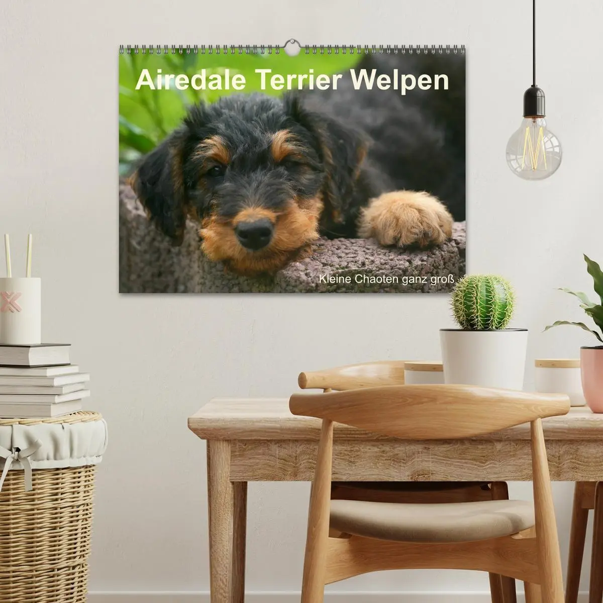 Bild: 9783516154177 | Airedale Terrier Welpen (Wandkalender 2026 DIN A3 quer), CALVENDO...