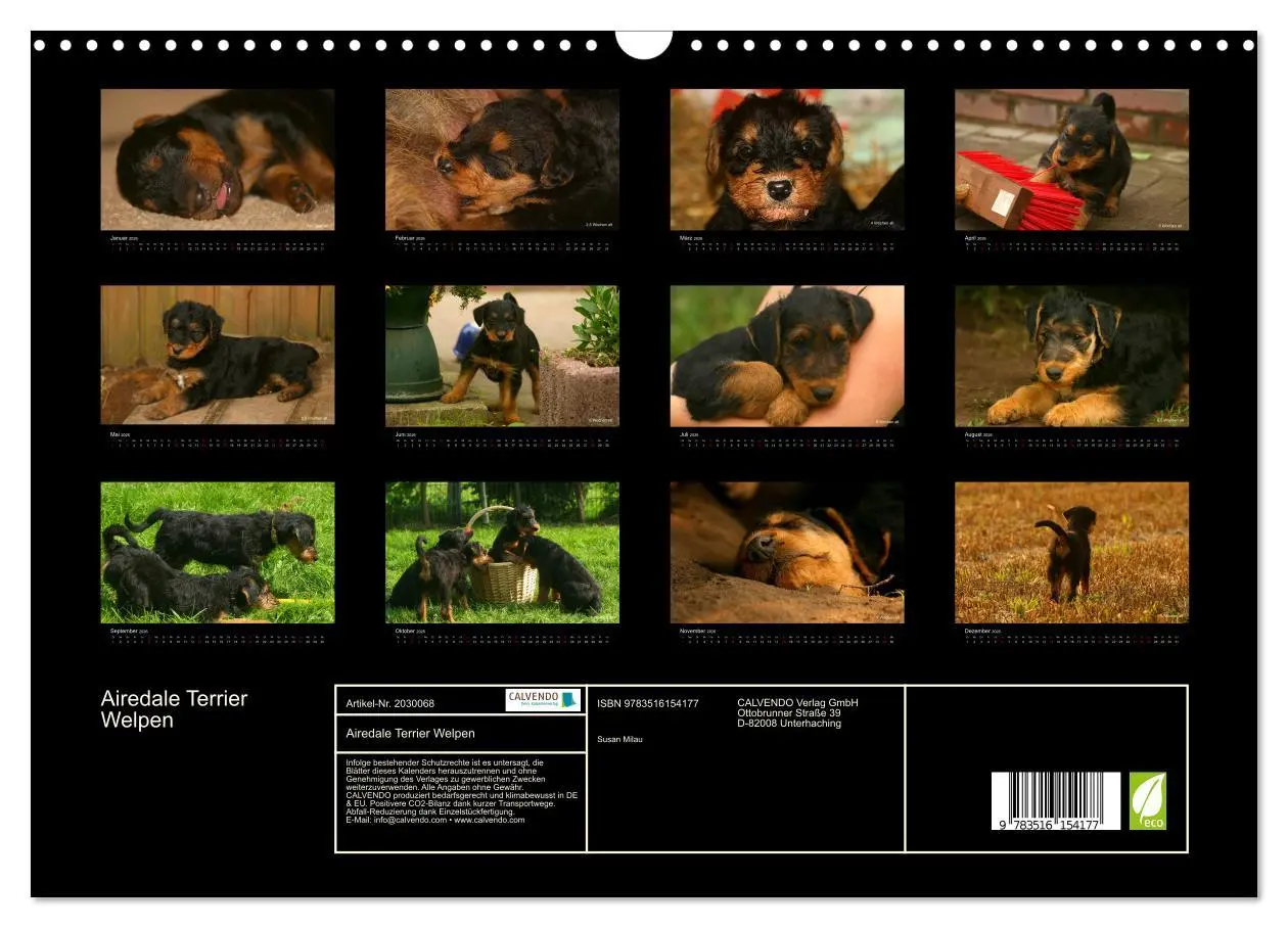Bild: 9783516154177 | Airedale Terrier Welpen (Wandkalender 2026 DIN A3 quer), CALVENDO...