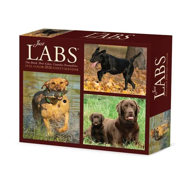 Cover: 9781549254277 | Just Labs 2026 Box Calendar | Willow Creek Press | Kalender | Englisch