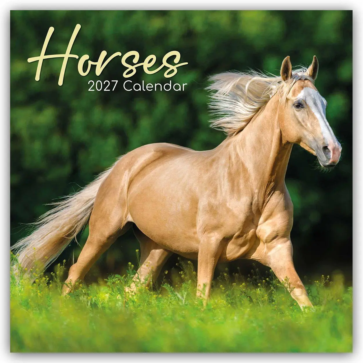 Cover: 9781805974277 | Horses - Pferde 2027 - 16-Monatskalender | Gifted Stationery Co. Ltd