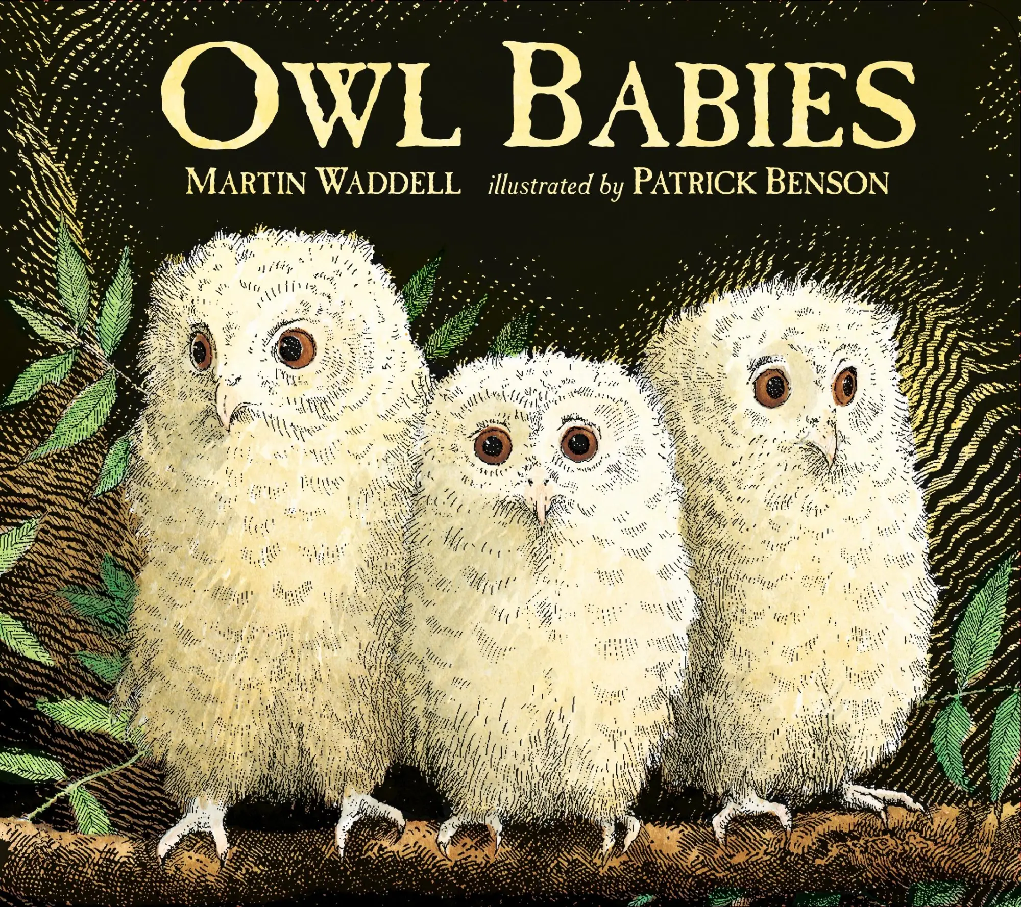 Cover: 9781406374377 | Owl Babies | Martin Waddell | Buch | Papp-Bilderbuch | Englisch | 2017