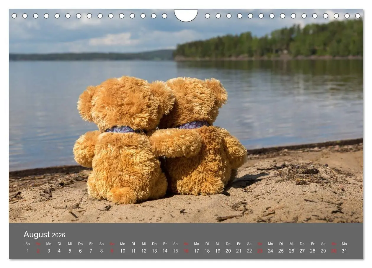 Bild: 9783457974377 | Travelling Teddy 2026 (Wandkalender 2026 DIN A4 quer), CALVENDO...