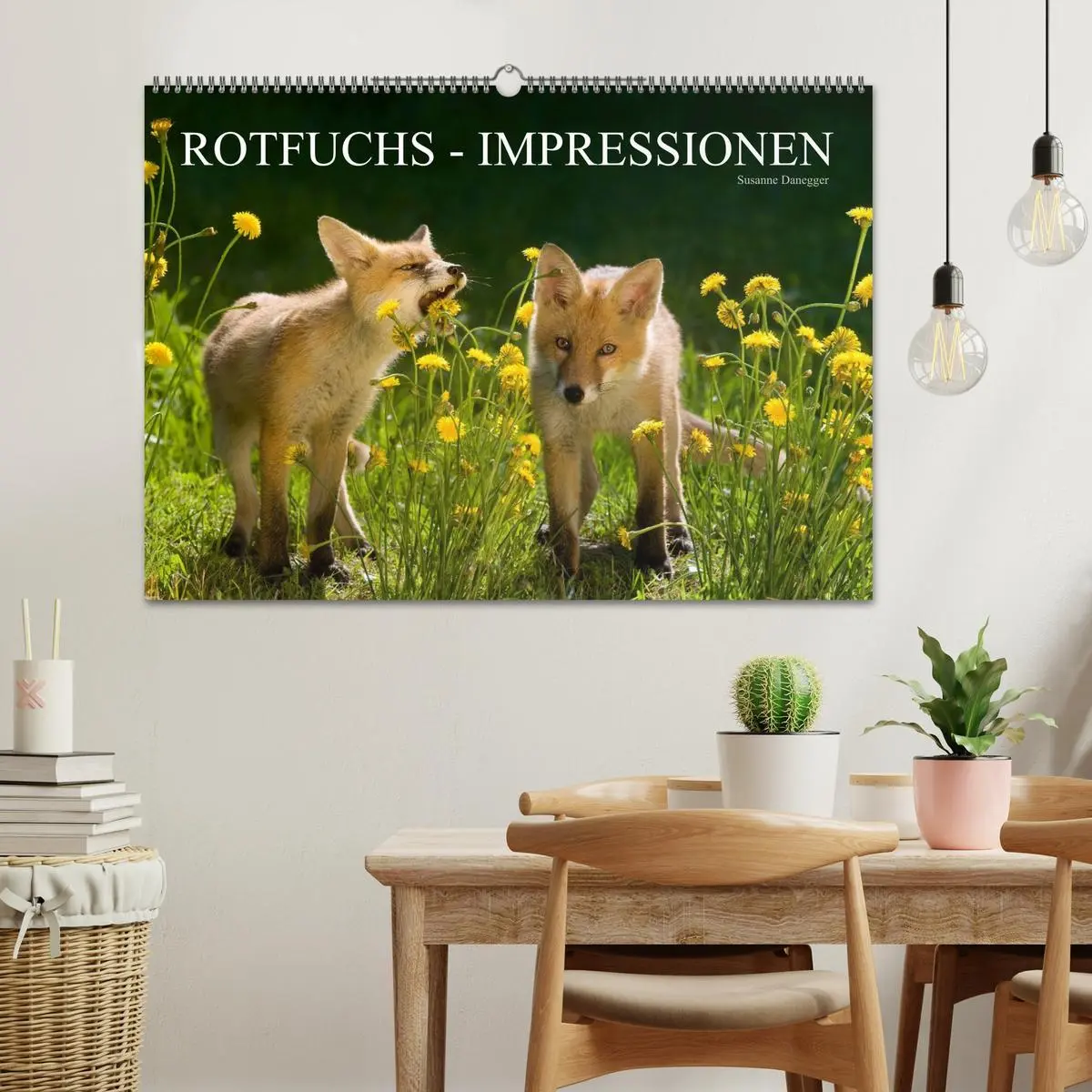 Bild: 9783516204377 | Rotfuchs - Impressionen (Wandkalender 2026 DIN A2 quer), CALVENDO...