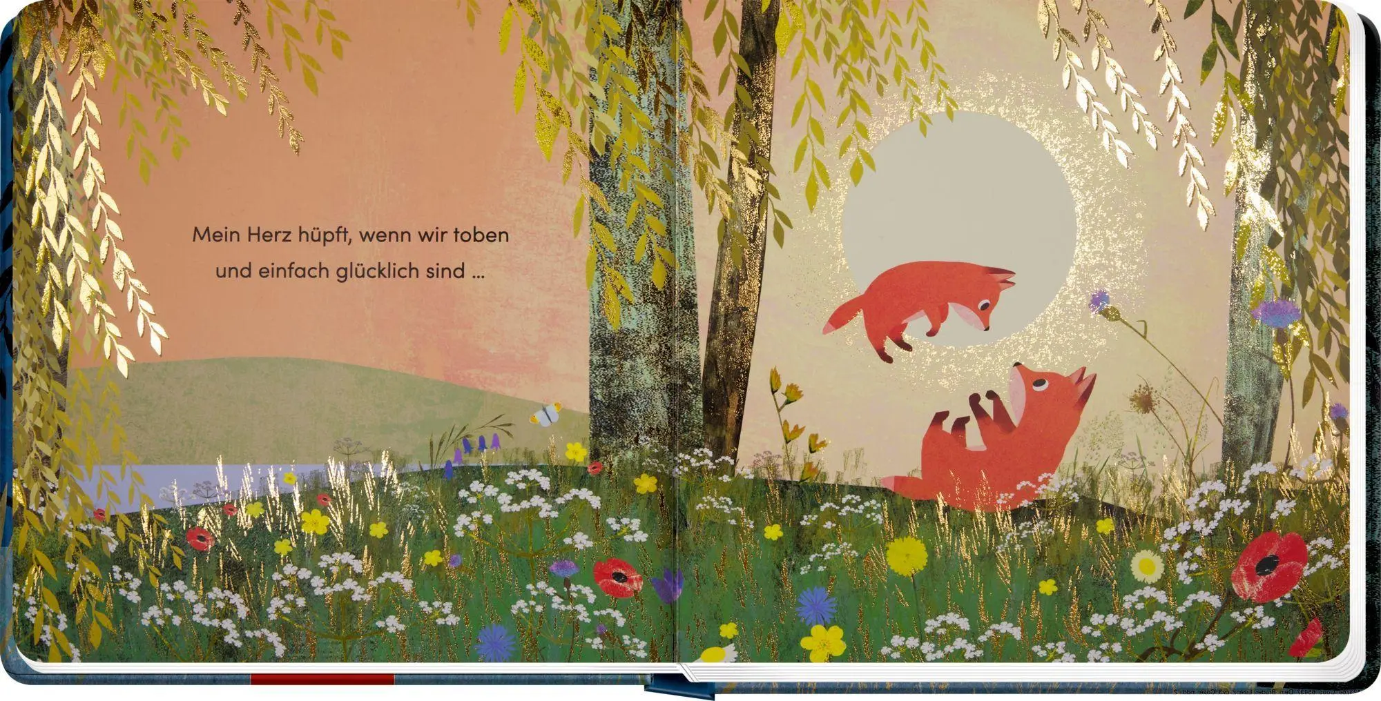 Bild: 9783649654377 | Weil ich dein Bruder bin ... | Susannah Shane | Buch | 22 S. | Deutsch