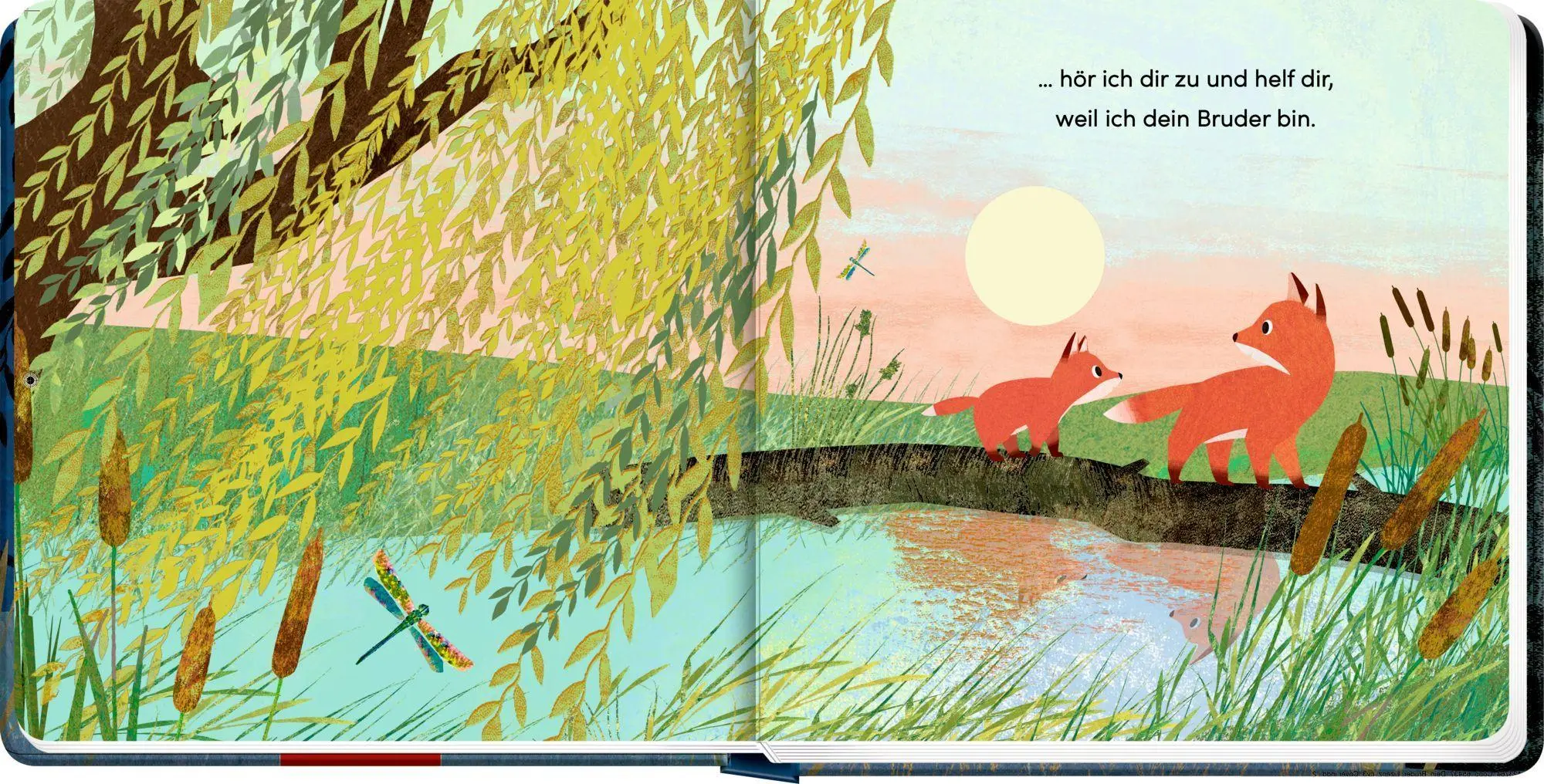 Bild: 9783649654377 | Weil ich dein Bruder bin ... | Susannah Shane | Buch | 22 S. | Deutsch