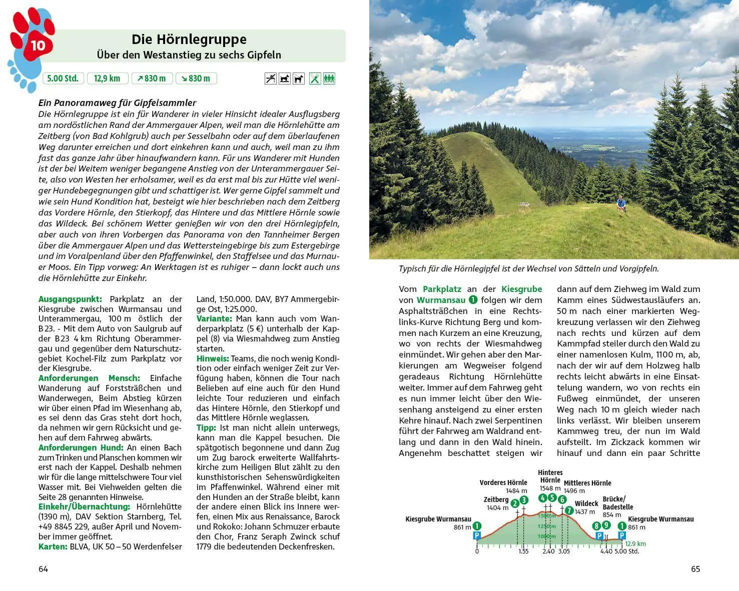 Bild: 9783763334377 | Wandern mit Hund Bayerische Alpen | Martin R. Locher (u. a.) | Buch