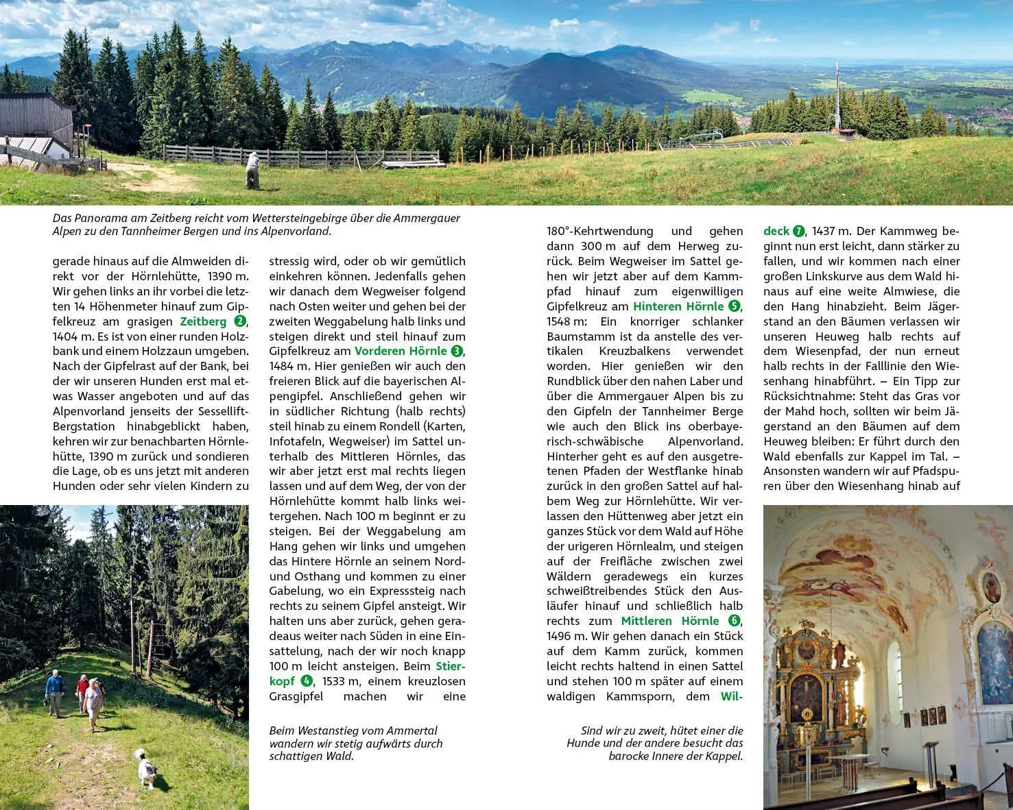 Bild: 9783763334377 | Wandern mit Hund Bayerische Alpen | Martin R. Locher (u. a.) | Buch