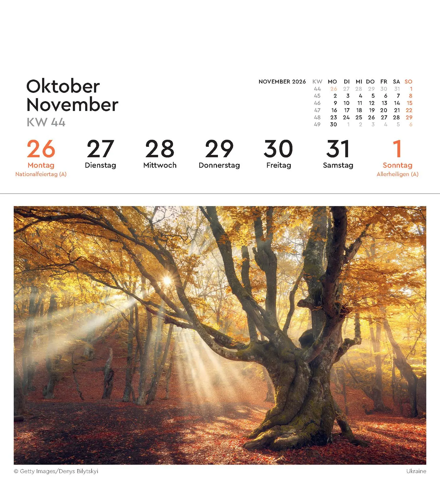Bild: 9783965914377 | Alte Bäume - KUNTH Postkartenkalender 2026 | Kalender | 53 S. | 2026