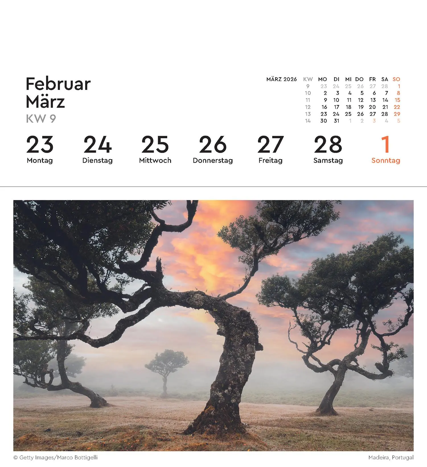 Bild: 9783965914377 | Alte Bäume - KUNTH Postkartenkalender 2026 | Kalender | 53 S. | 2026