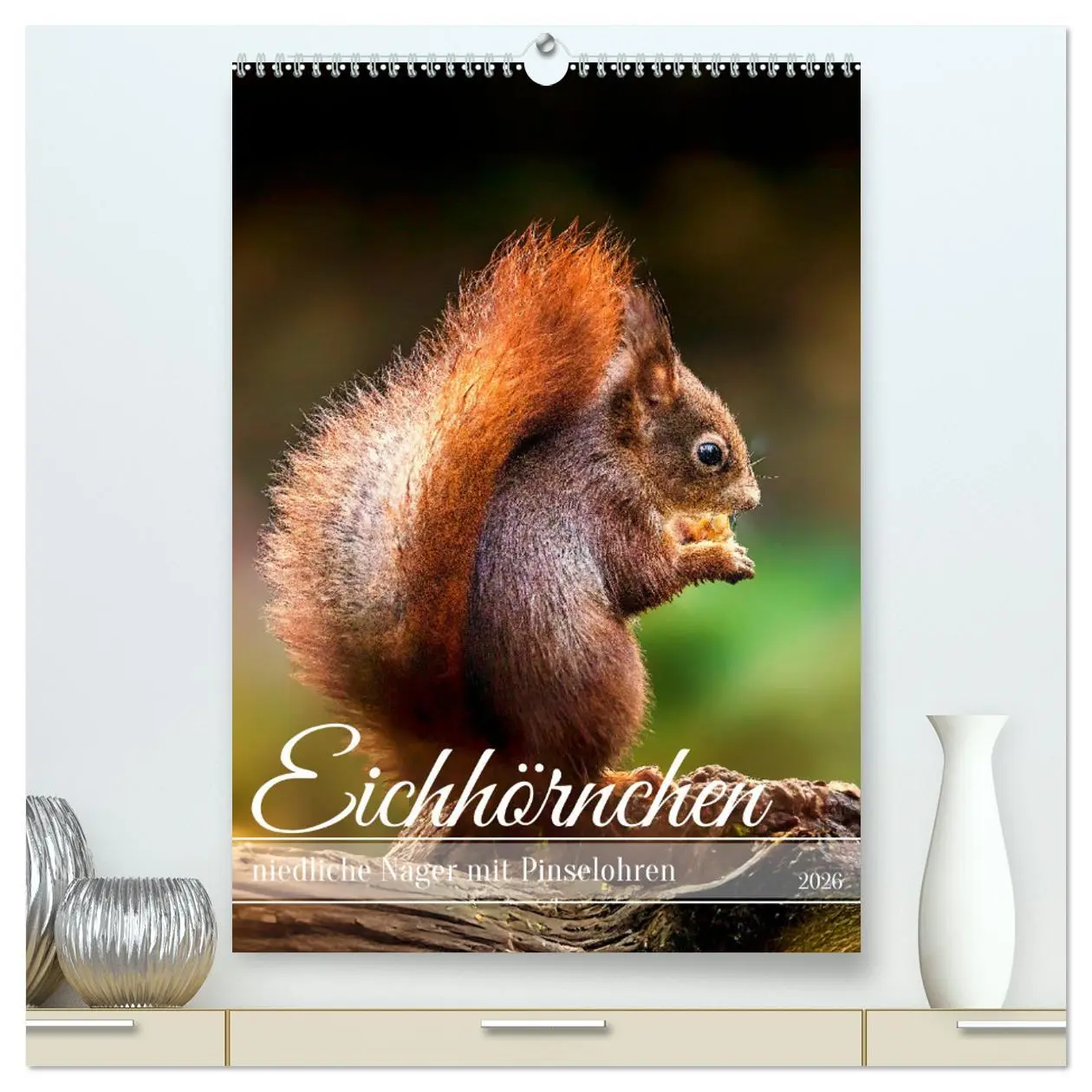 Cover: 9783457274477 | Niedlicher Nager - Das Eichhörnchen (hochwertiger Premium...