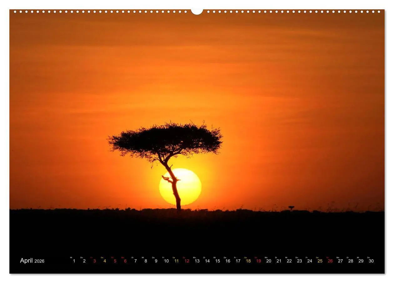 Bild: 9783457954577 | Traumlandschaften Kenia (Wandkalender 2026 DIN A2 quer), CALVENDO...