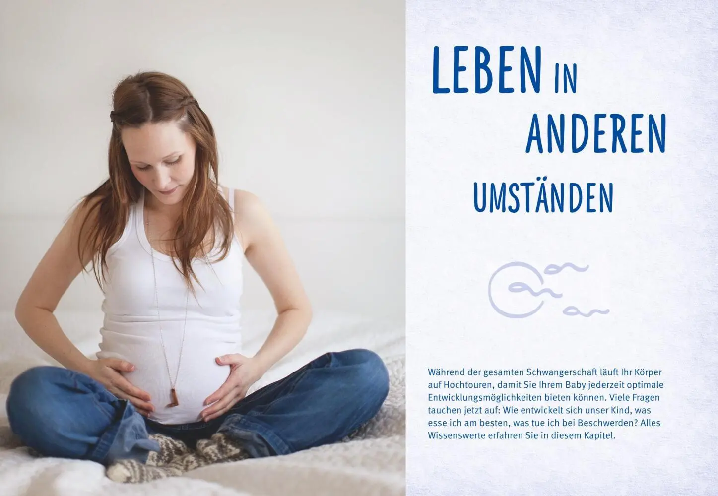 Bild: 9783833844577 | Schwangerschaft | Alles, was wichtig ist | Birgit Laue | Taschenbuch