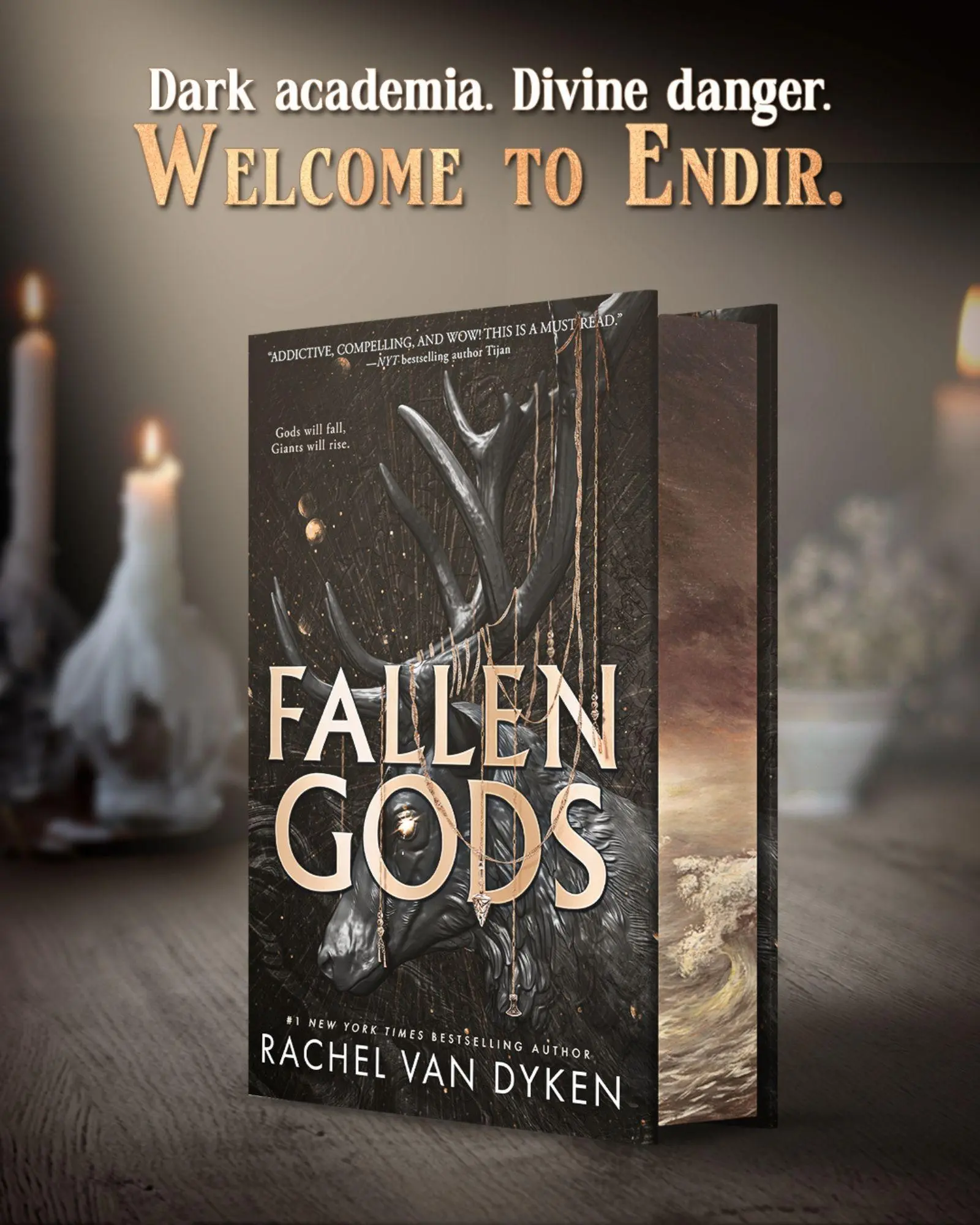 Bild: 9781649374677 | Fallen Gods | A Dark Academia Urban Romantasy | Rachel Van Dyken