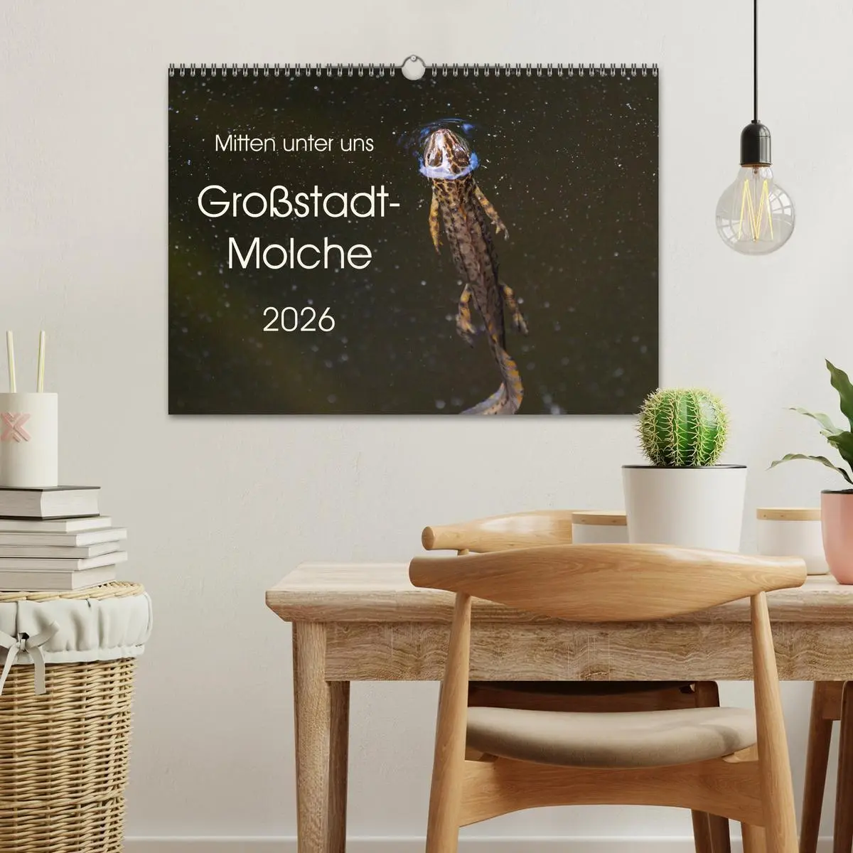 Bild: 9783457874677 | Mitten unter uns - Großstadt-Molche (Wandkalender 2026 DIN A3...
