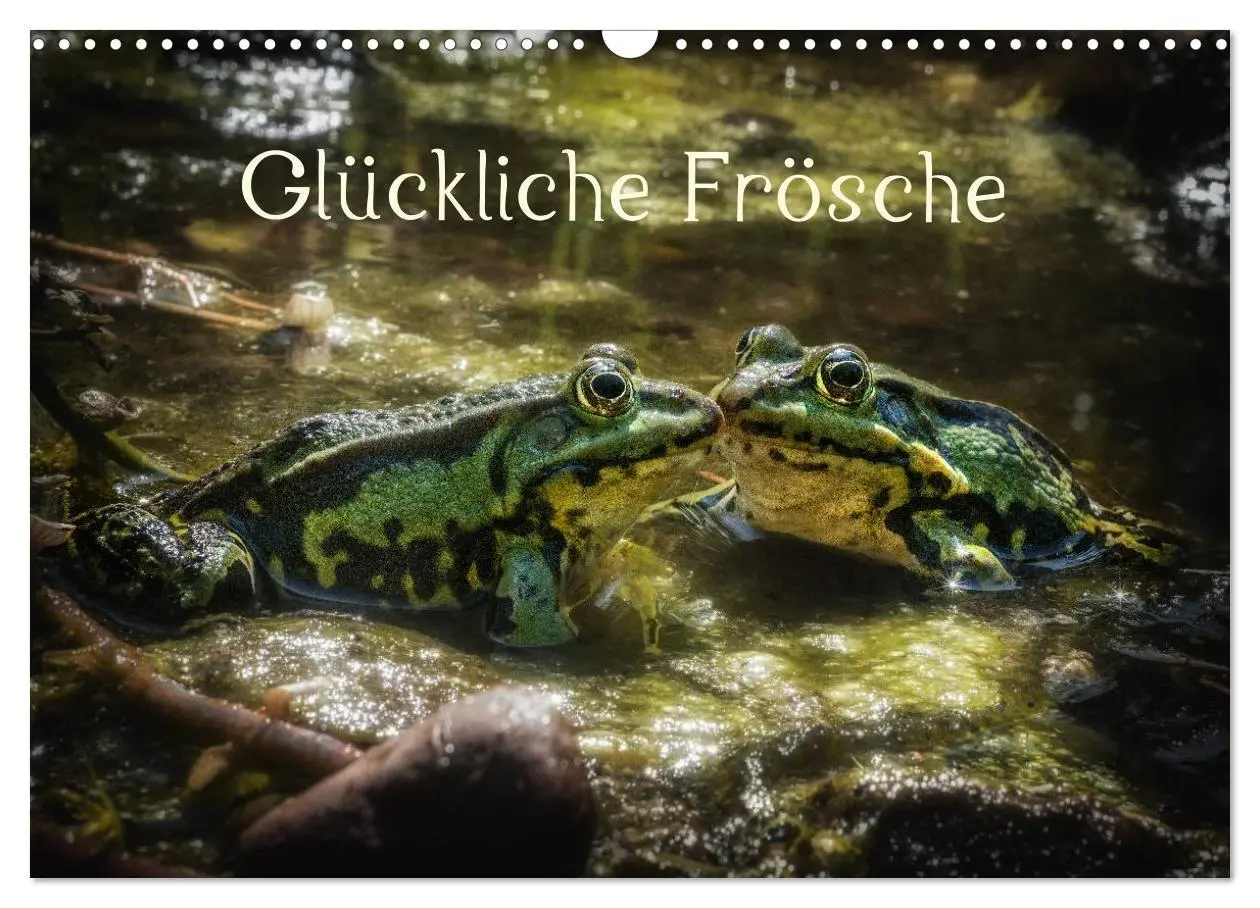 Cover: 9783569744677 | Glückliche Frösche (Wandkalender 2027 DIN A3 quer), CALVENDO...