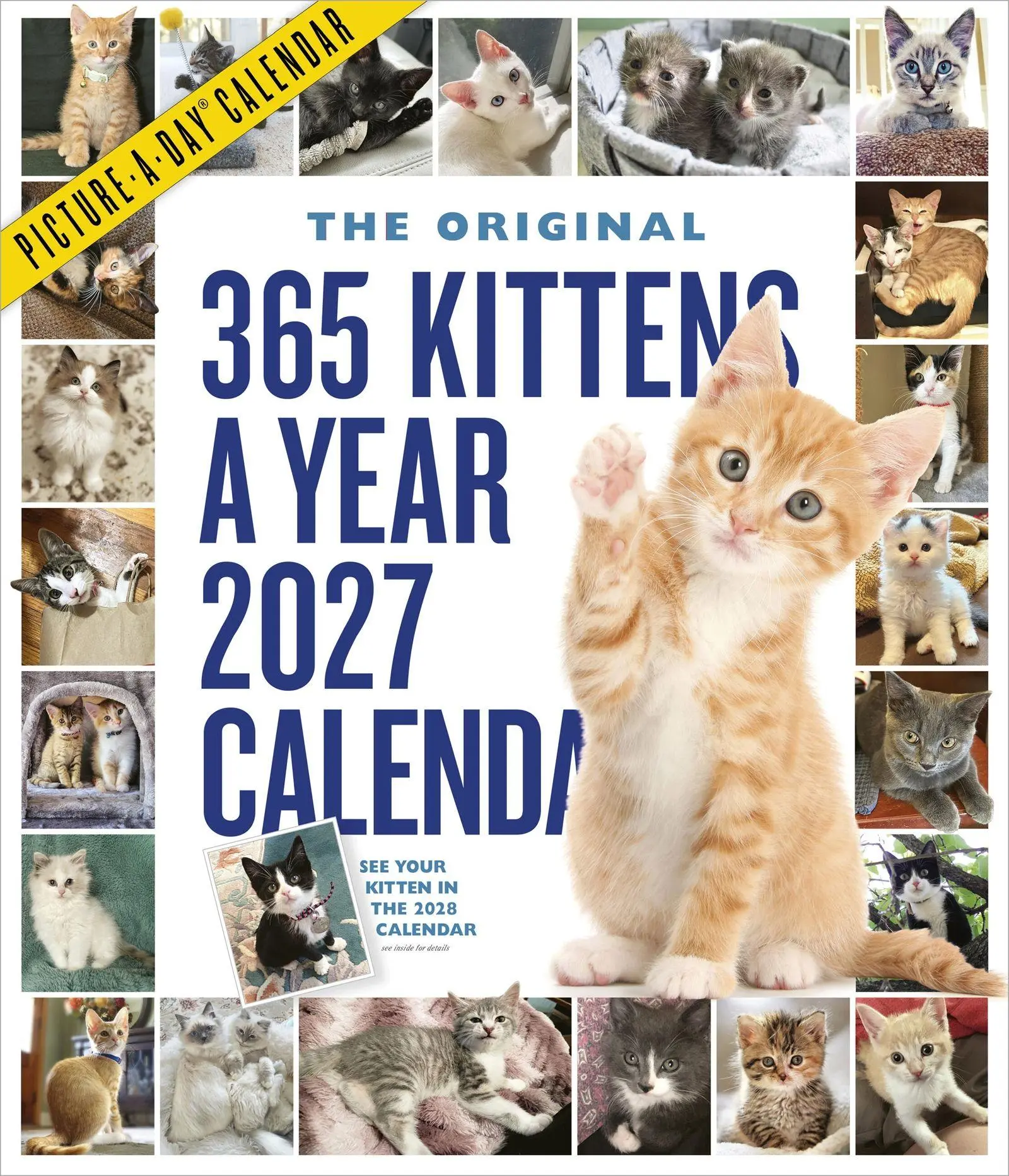 Cover: 9781523534777 | 365 Kittens-A-Year Picture-A-Day® Wall Calendar 2027 | Publishing