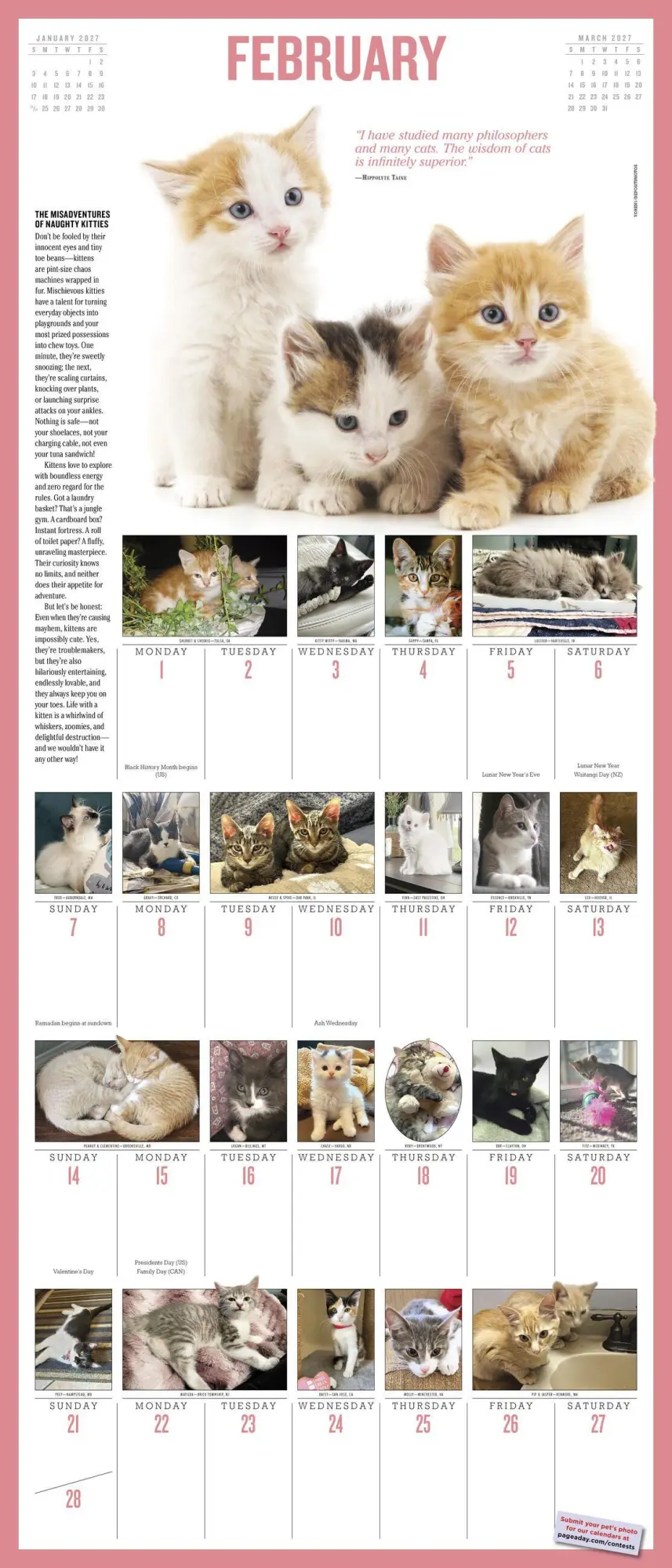 Bild: 9781523534777 | 365 Kittens-A-Year Picture-A-Day® Wall Calendar 2027 | Publishing