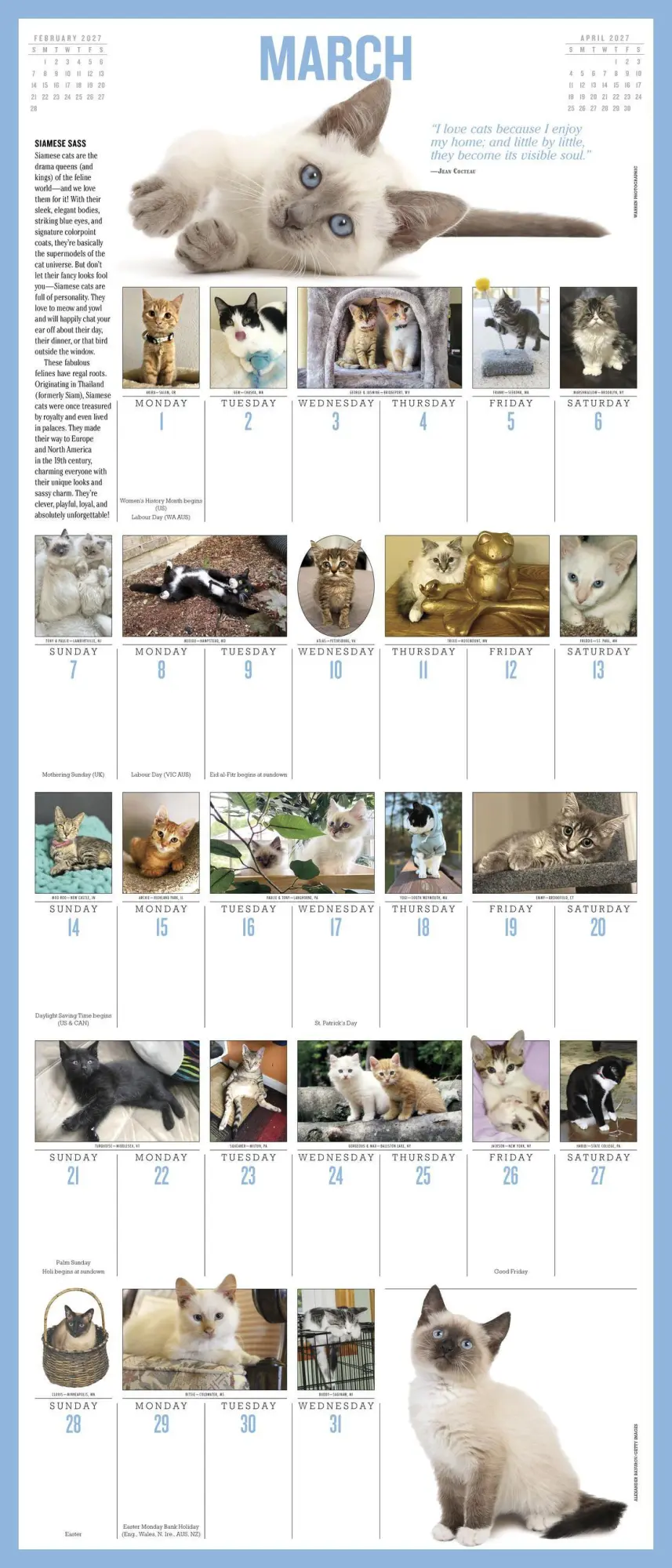 Bild: 9781523534777 | 365 Kittens-A-Year Picture-A-Day® Wall Calendar 2027 | Publishing