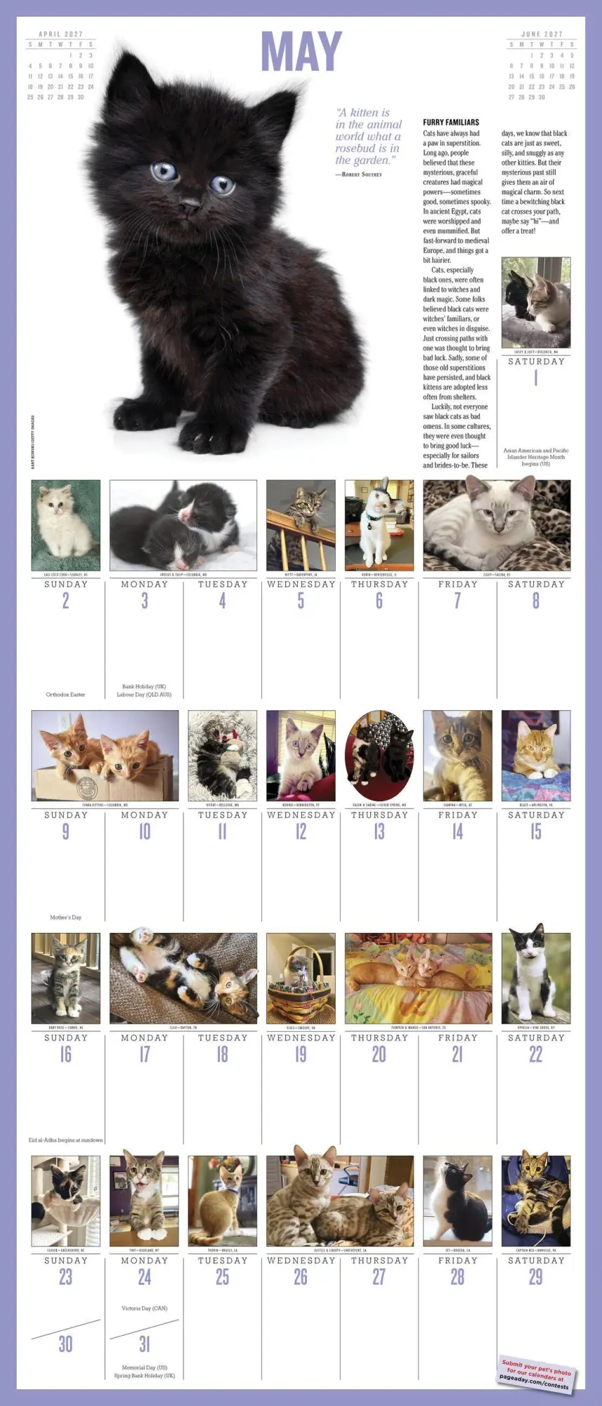 Bild: 9781523534777 | 365 Kittens-A-Year Picture-A-Day® Wall Calendar 2027 | Publishing
