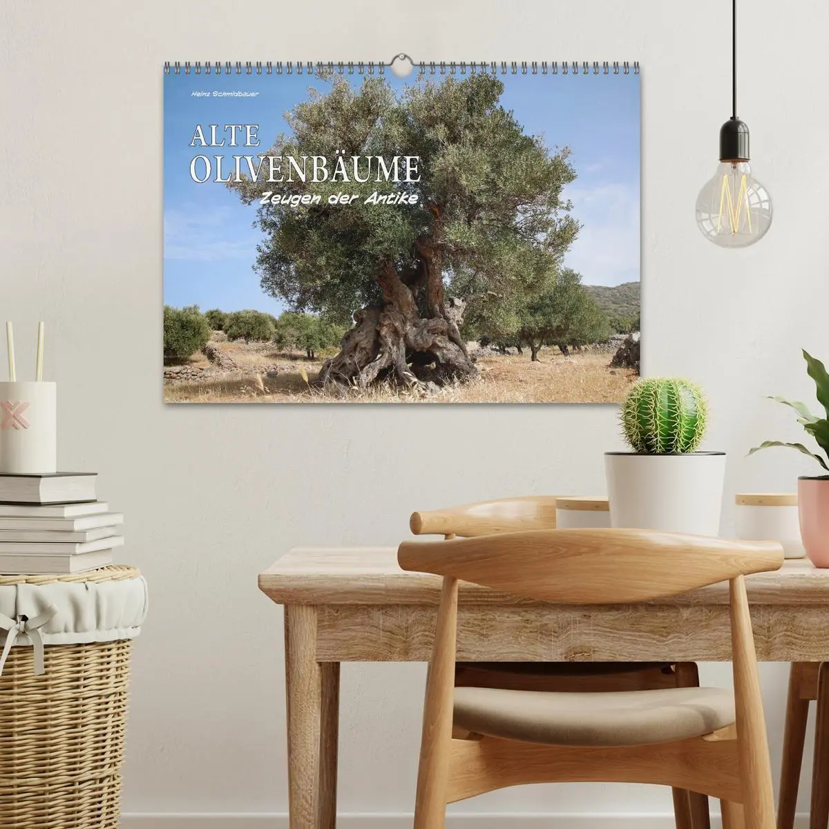 Bild: 9783457934777 | ALTE OLIVENBÄUME Zeugen der Antike (Wandkalender 2026 DIN A3 quer),...